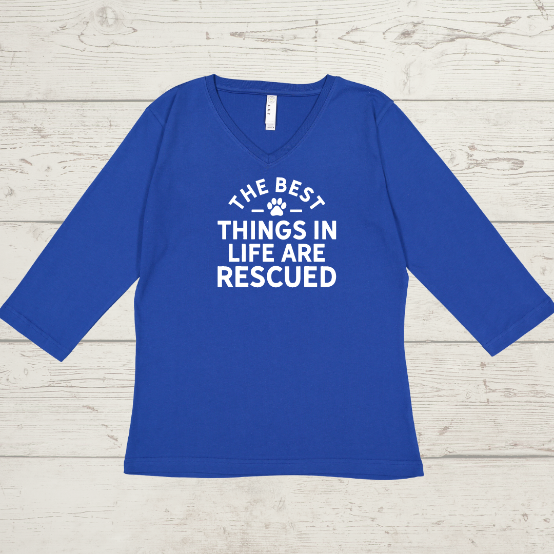 3/4 Sleeve V Neck T-Shirt