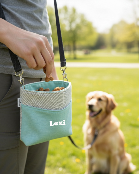 Treat Dealer treat bag