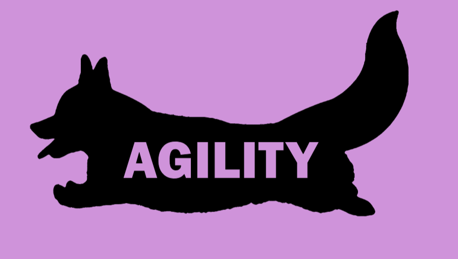 Ladies Classic Fit 3/4 Sleeve V neck