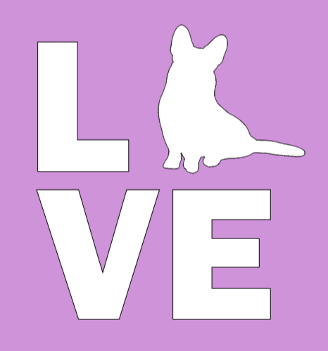 Ladies Classic Fit 3/4 Sleeve V neck