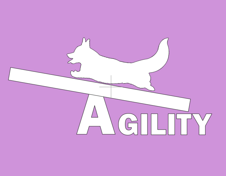 Ladies Modern Fit Scoop Neck Tee