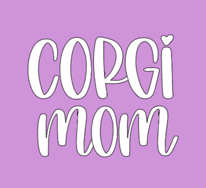 Ladies Classic Fit 3/4 Sleeve V neck