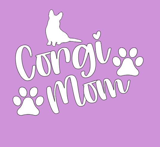 Ladies Classic Fit 3/4 Sleeve V neck