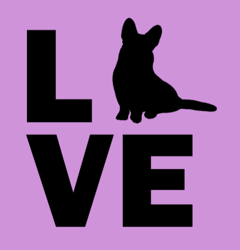 Ladies Modern Fit V Neck