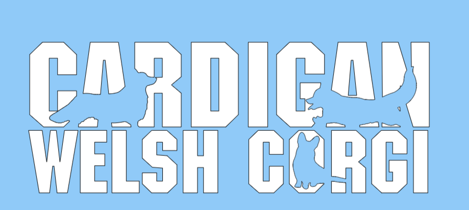 Ladies Modern Fit V Neck