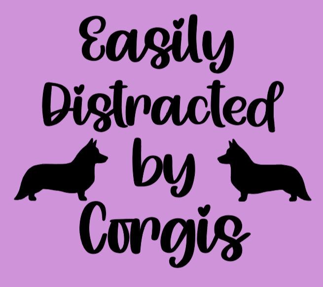 Ladies Modern Fit V Neck