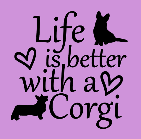 Ladies Modern Fit Scoop Neck Tee