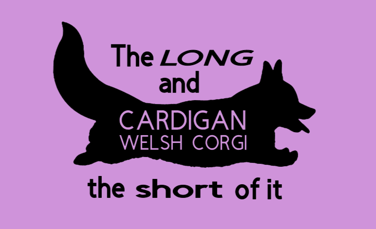 Ladies Modern Fit V Neck