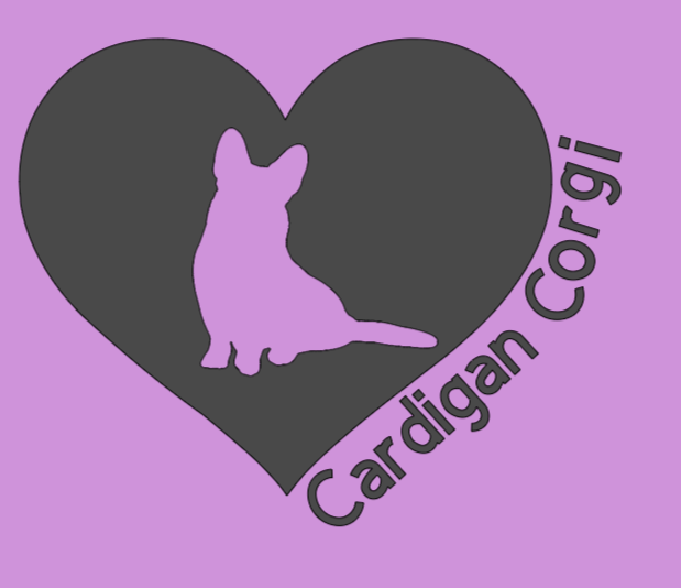 Ladies Classic Fit 3/4 Sleeve V neck