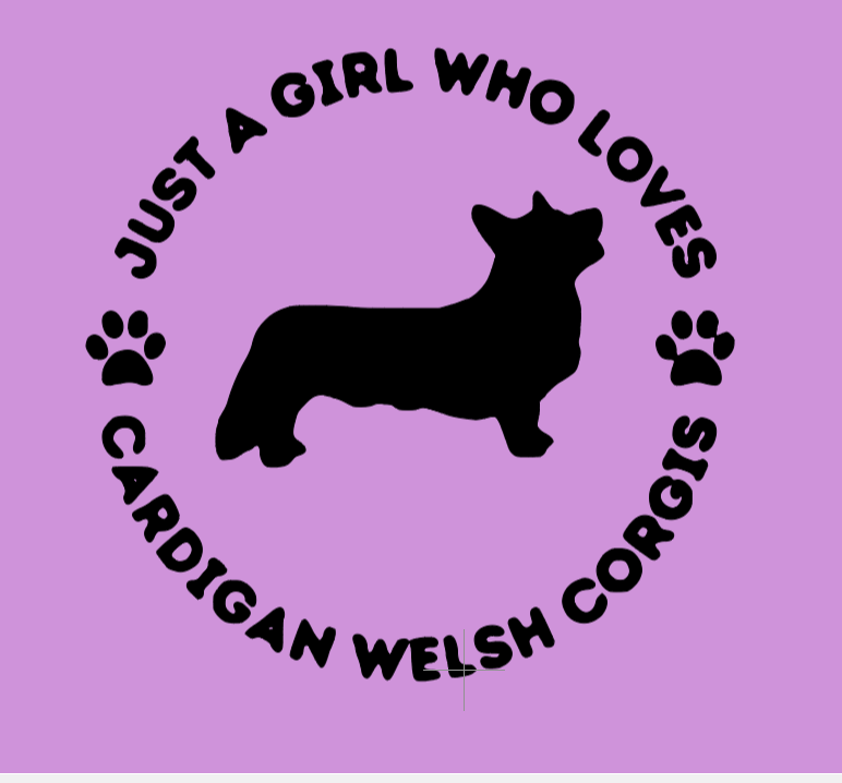 Ladies Classic Fit 3/4 Sleeve V neck