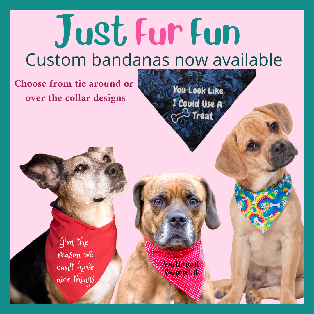 Custom Pet Bandanas
