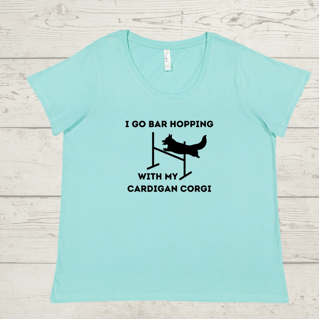 Ladies Curvy Fit T Shirt