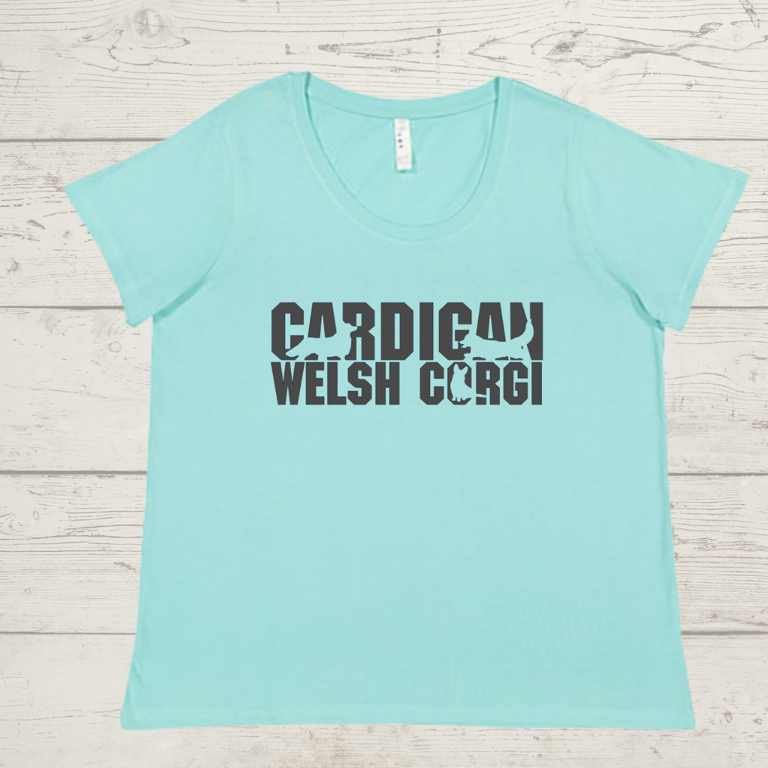 Ladies Curvy Fit T Shirt